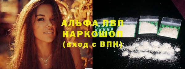 прущие грибы Алексин